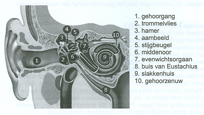 gehoorgang doofheid