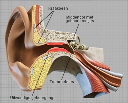 Klachten gehoorgang