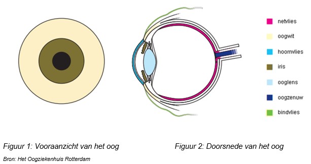 Galucoomoperatie